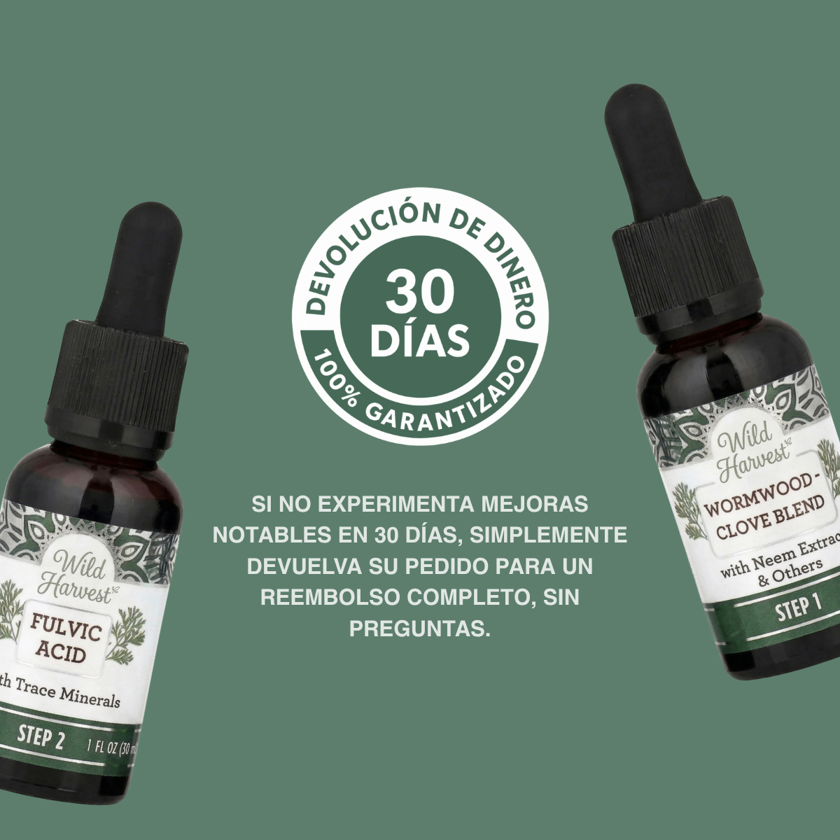 WildHarvest™ Kit de limpieza intestinal en 2 pasos GutCleanse – Desintoxicación herbal natural para un intestino más limpio y saludable